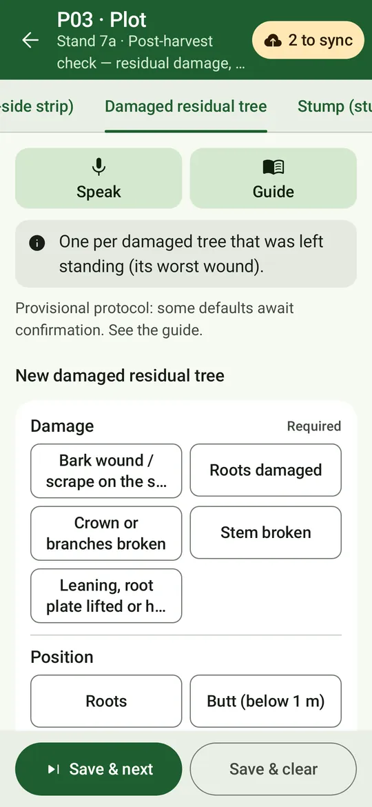 A damaged residual tree: damage type, position and severity.