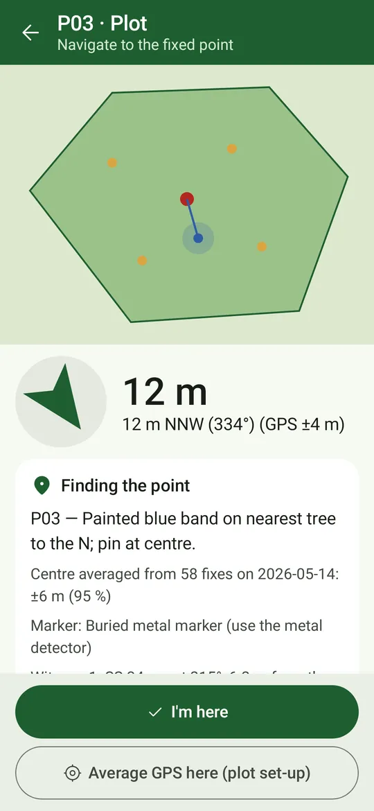 Navigating to plot P03: the stand map with the plot and the walker, a big arrow with 12 m NNW, and the relocation aid with marker and averaged centre, I'm here and Average GPS here.