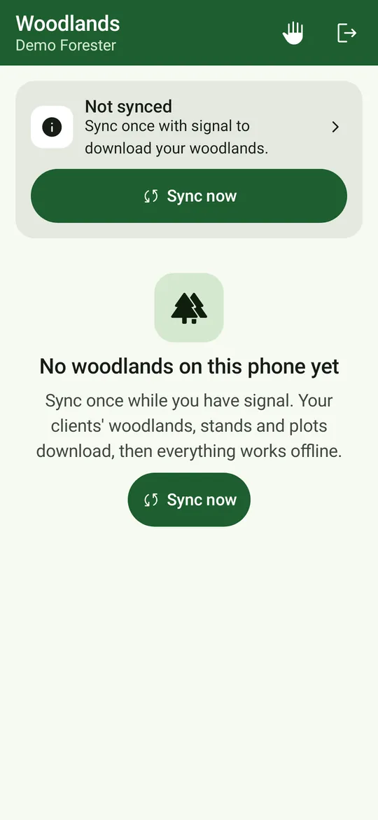 Erster Start: noch kein Wald auf diesem Telefon, mit einer Schaltfläche „Jetzt synchronisieren“.