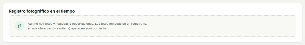 El registro fotográfico a lo largo del tiempo, agrupado por fecha, con un filtro por tema.