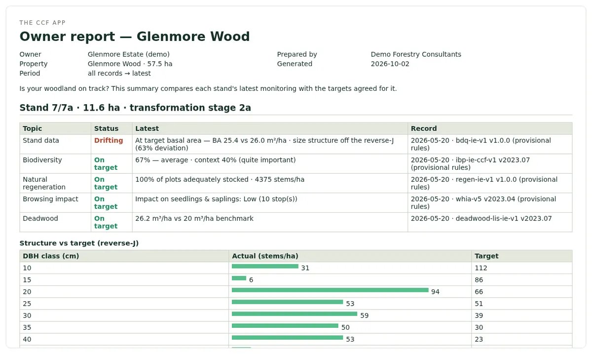 The owner report opened in the in-app preview.